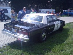 Big Bumper Meet 2010